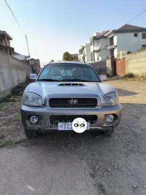 Hyundai Santa Fe 2002 Silver