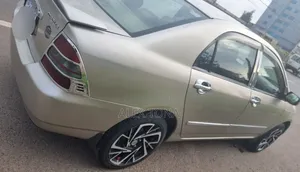 Toyota Corolla 2003 Gold