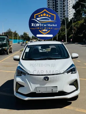 Photo - Changan BenBen E-Star 2023 White