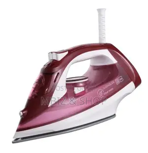 Photo - Royal Master Steam Iron