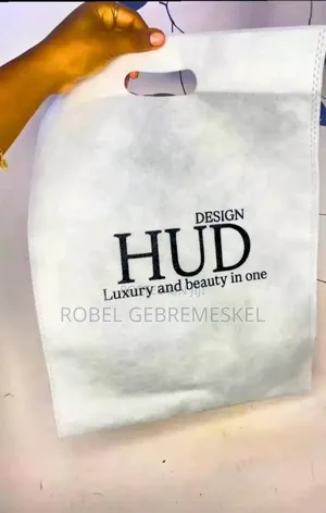 Non Woven Bags/Plastic Bag/Paper Bag