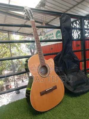 Photo - Pluto MDC Acoustic Guitar