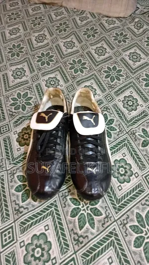 Photo - Taketa Puma King