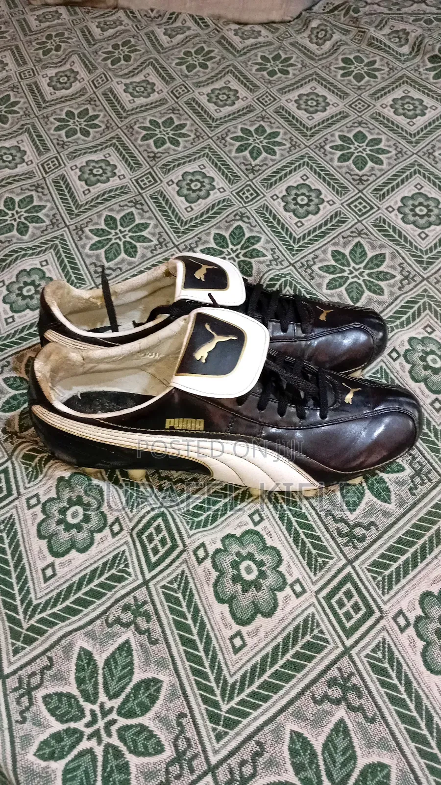 Taketa Puma King