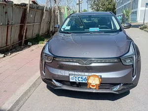 Photo - New Hozon Neta U 2023 Gray