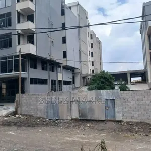 Photo - ለትክክለኛ ግዢ ብቻ