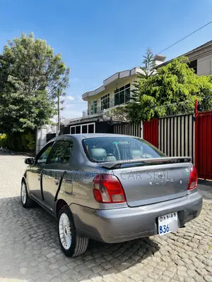 Toyota Platz 2002 Gray
