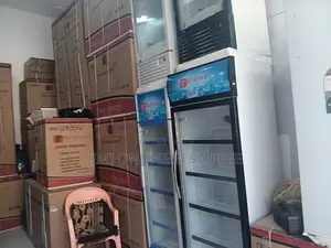 Everest Dispiay Fereg Model 380l Brand New