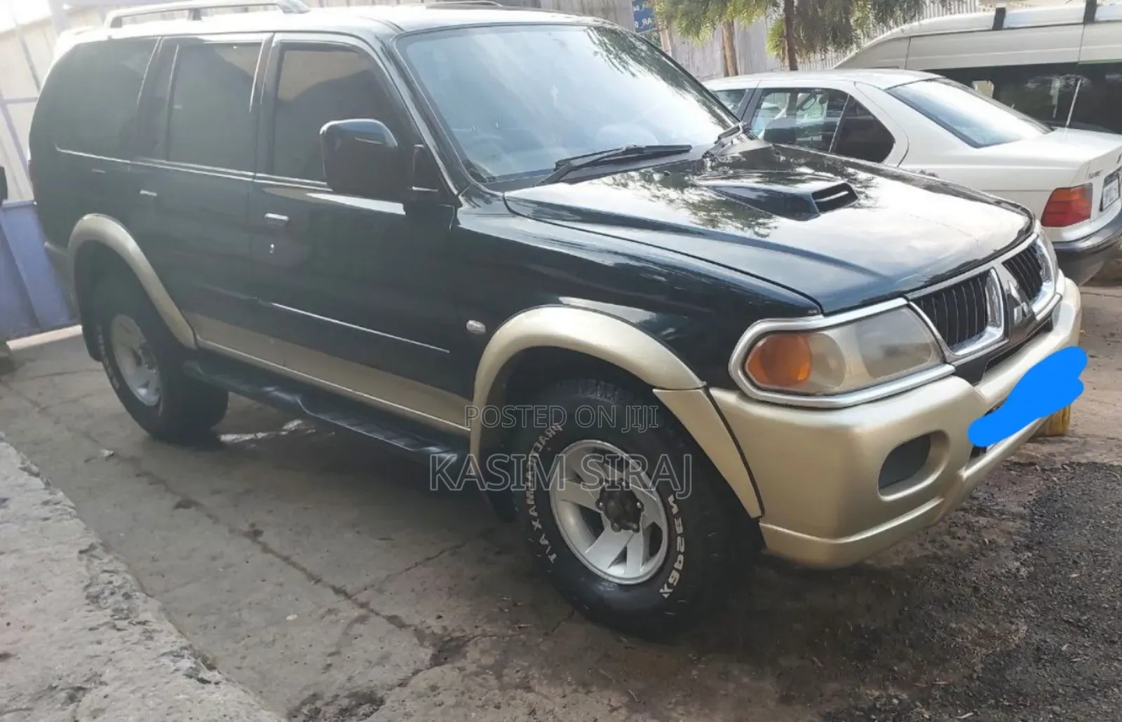 Mitsubishi Nativa 2008 Blue