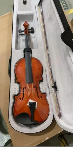 Photo - Acoustic Violin