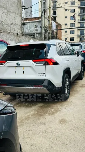 New Toyota RAV4 Hybrid 2024 White