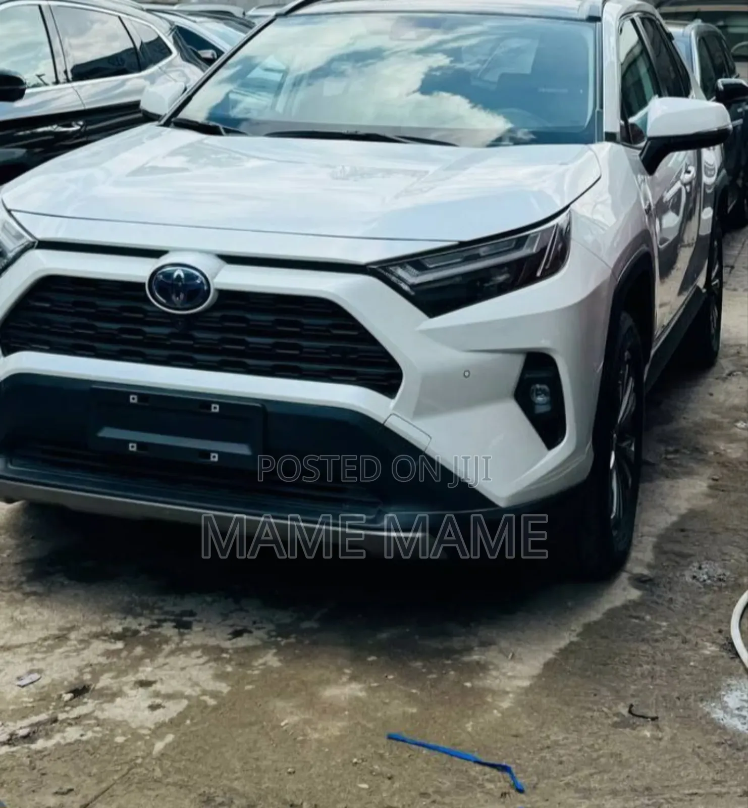New Toyota RAV4 Hybrid 2024 White
