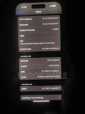 Apple iPhone 16 Pro 256 GB Gray