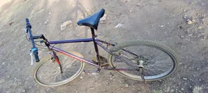 Photo - Bicycle for Sell