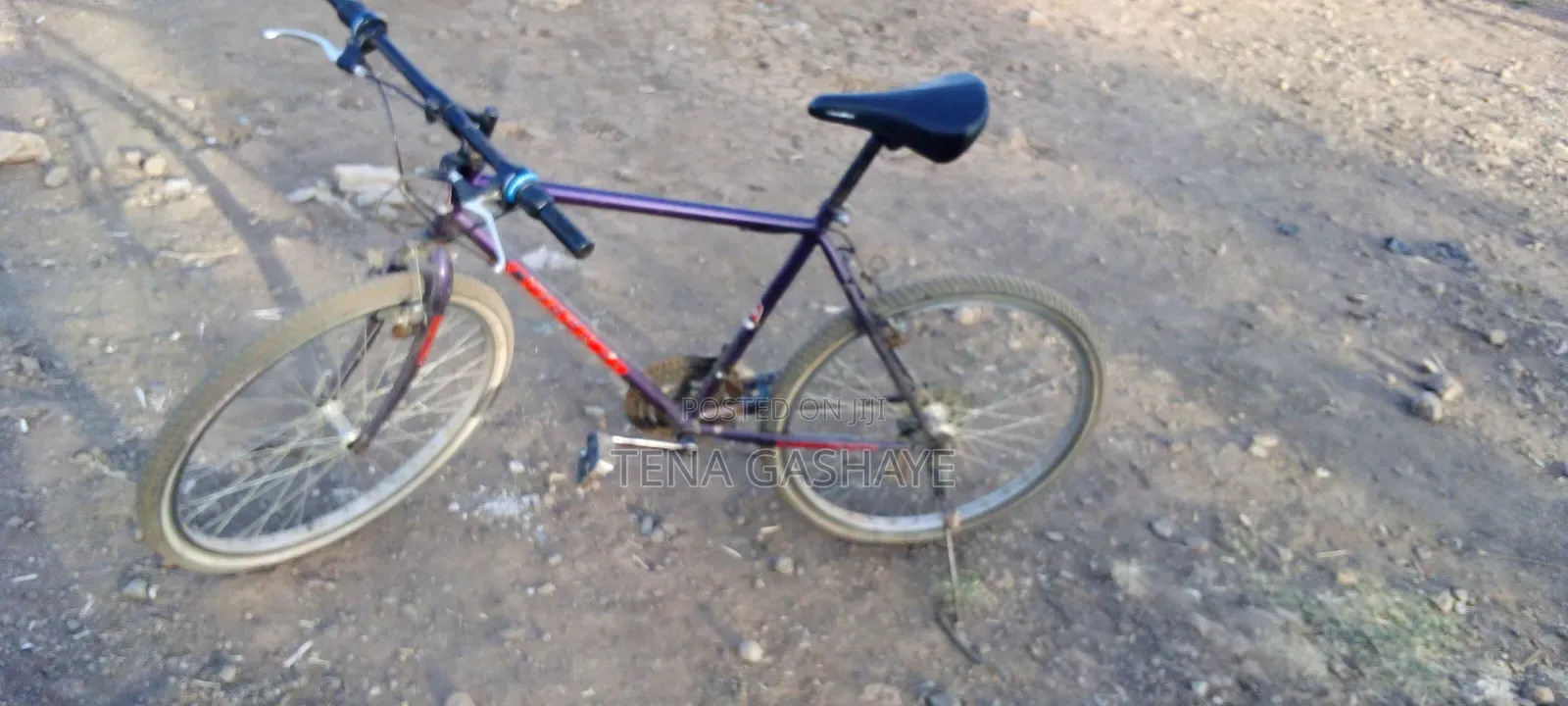 Bicycle for Sell