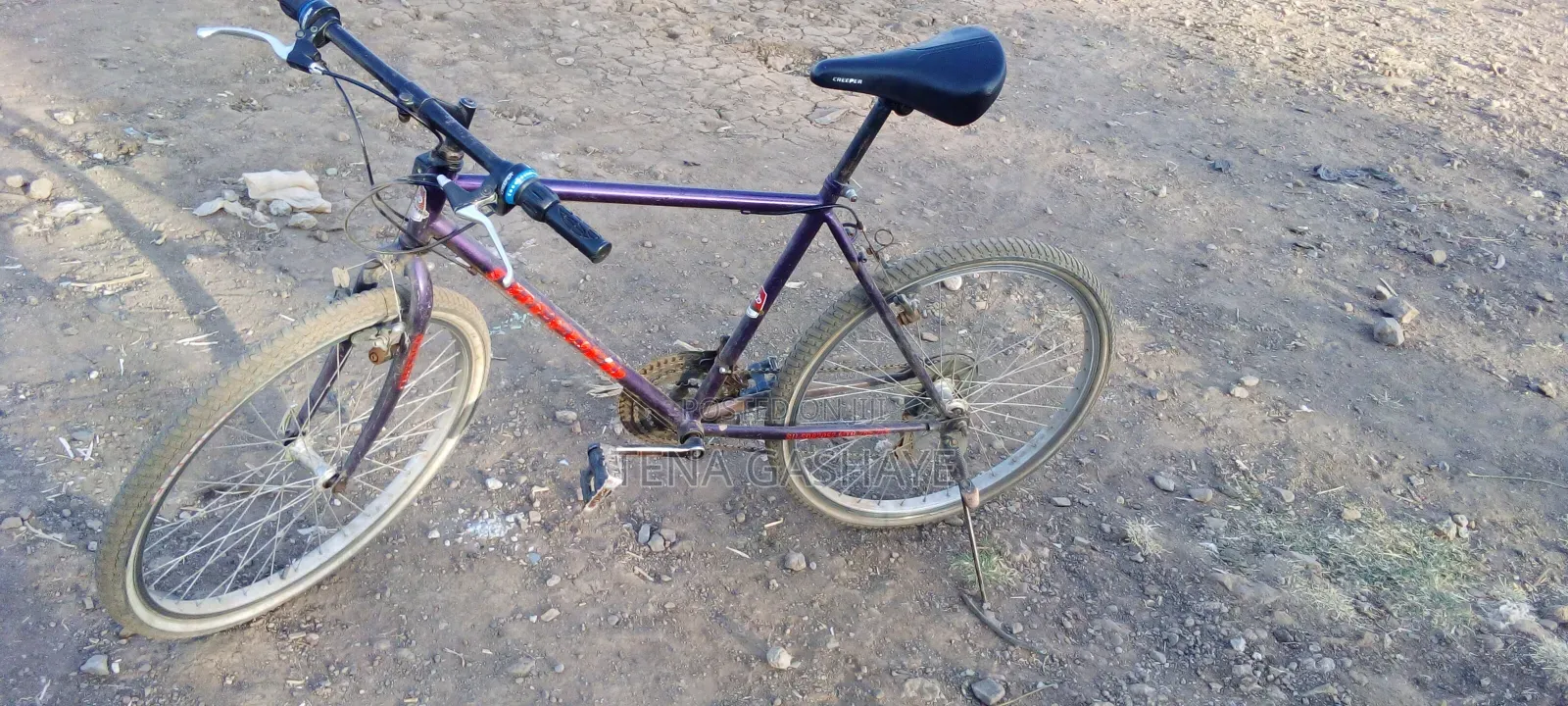 Bicycle for Sell