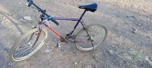 Bicycle for Sell