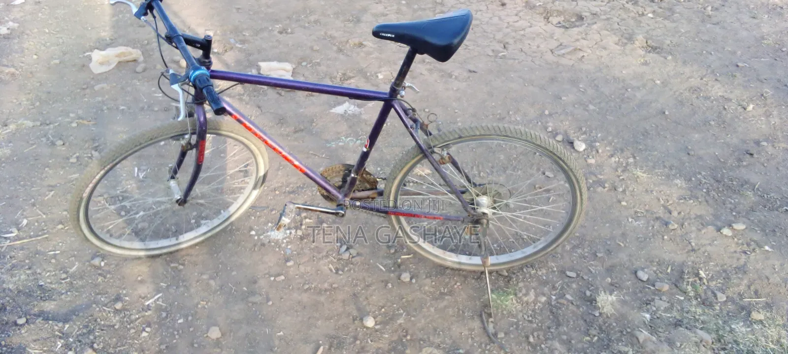 Bicycle for Sell