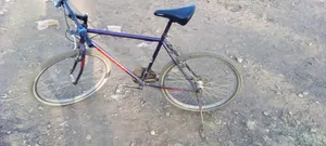 Bicycle for Sell