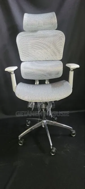 Ergonomic Chairs