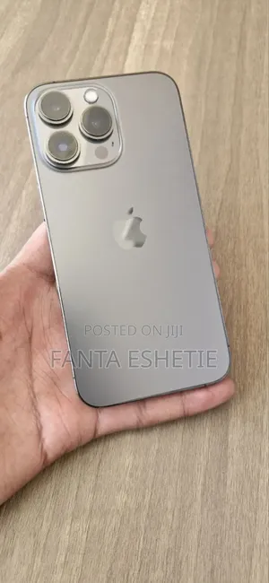 Apple iPhone 13 Pro 256 GB Silver