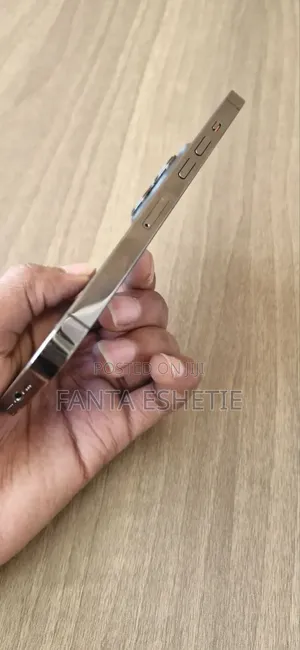 Apple iPhone 13 Pro 256 GB Silver