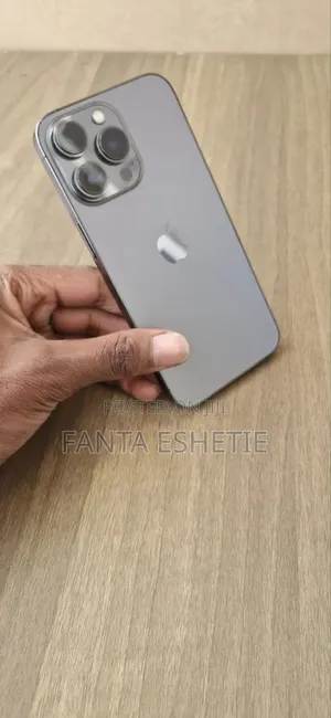 Apple iPhone 13 Pro 256 GB Silver