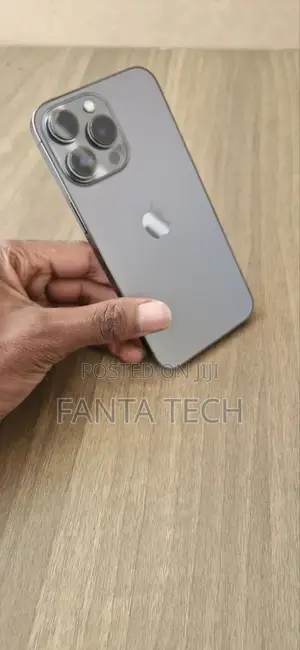 Apple iPhone 13 Pro 256 GB Silver