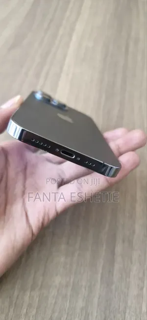 Apple iPhone 13 Pro 256 GB Silver