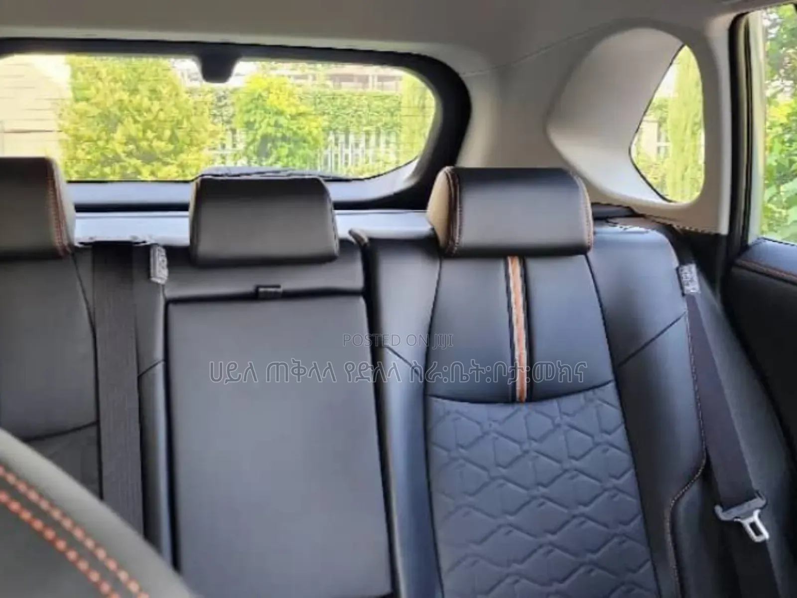 New Toyota RAV4 Hybrid 2024 Green