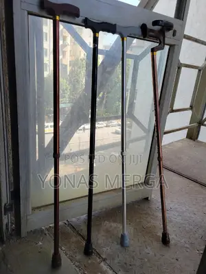 Photo - Walking Stick竹0canes Shown Feature T-Shaped or Derby-Style Handles