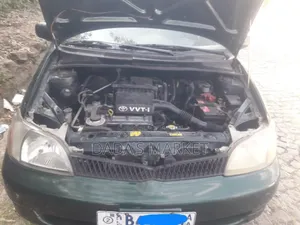 Toyota Platz 2001 Gray