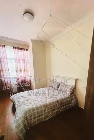Furnished 2bdrm Apartment in Bole for rent
