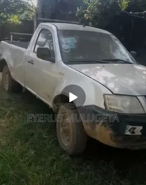 Tata Xenon 2011 Silver
