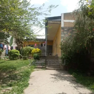 Photo - Furnished 2bdrm House in ሊዝ መንደር, Yeka for sale