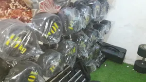 The Only Weight You Need: Fresh Stock of Dumbbells!