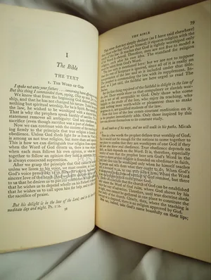 Calvin: Commentaries