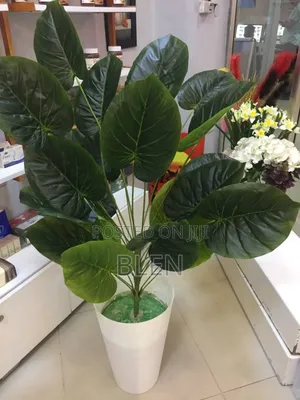 Photo - Artfical Plant