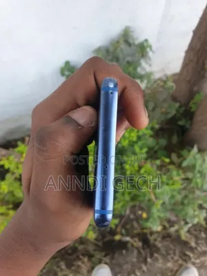 Samsung Galaxy S9 Plus 64 GB Blue