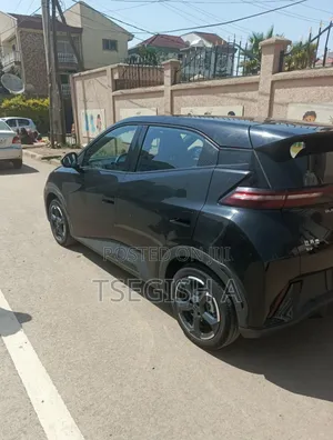 New BYD Seagull 2024 Black