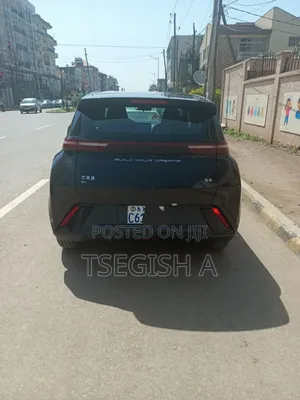 New BYD Seagull 2024 Black