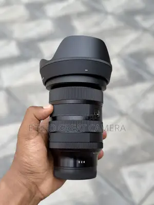 Sigma 24-70mm F/2:8 Dg Dn Ii