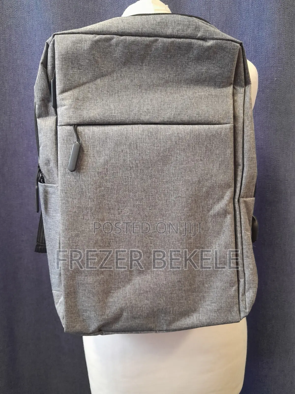 Backpack (Pc Bag)