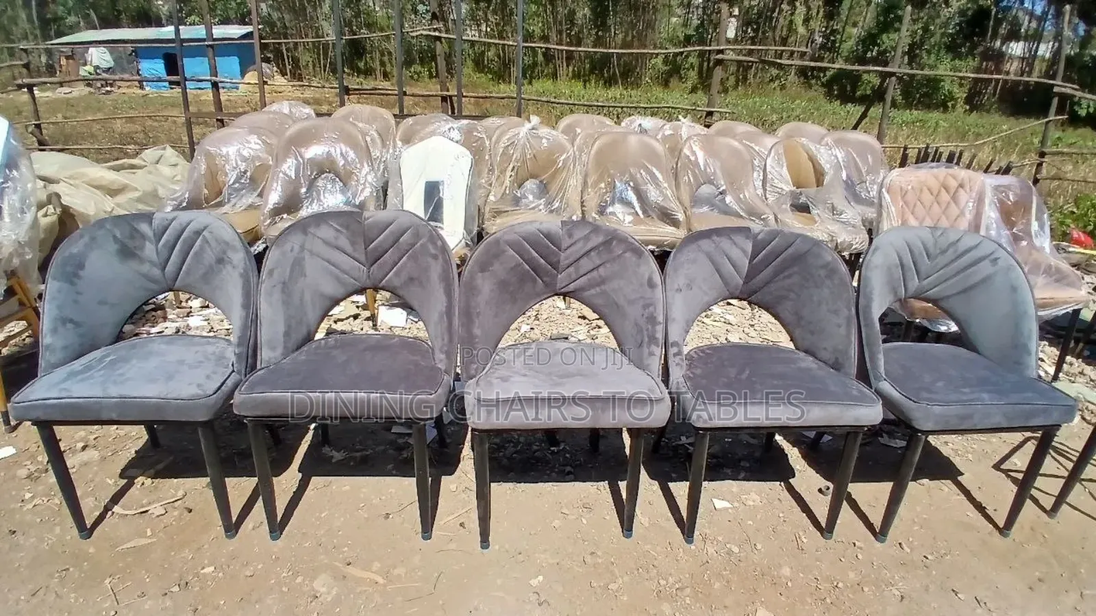 The Cafeteria Restaurant Hotel Chairs