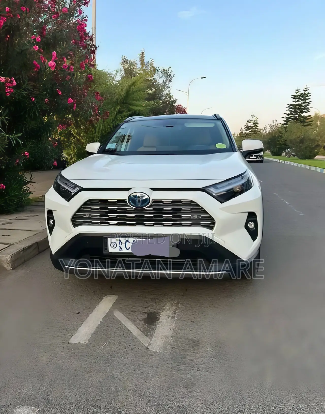 Toyota RAV4 2023 White