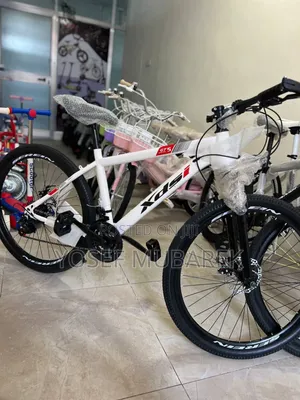 Lasting€€ሳይክል ስኩተር