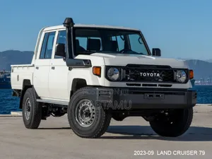 Land Cruiser 2024 Body
