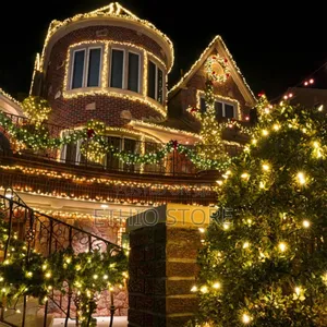 Photo - 50m Multi Functional String Light