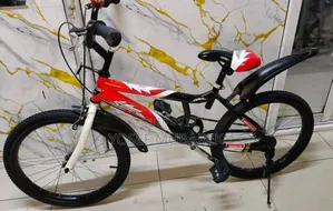 Indestructible##ስይክል ስኩተር