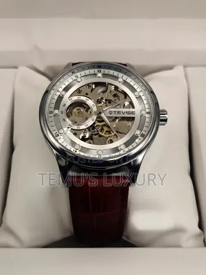 Photo - Tevise Luxury Automatic Mechanical Watch Sub-Dials Leather Strap